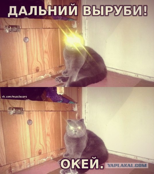 Дальняк выключи!