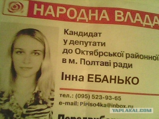 Кикисочка идет в депутаты
