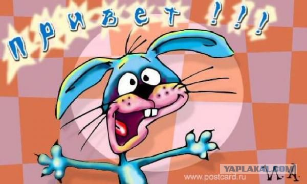 Жириновский будет добиваться ухода макдака из РФ