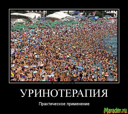 Отдыхай дома! Поддержи свой Крым.