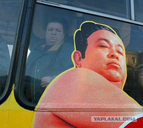 Картинки