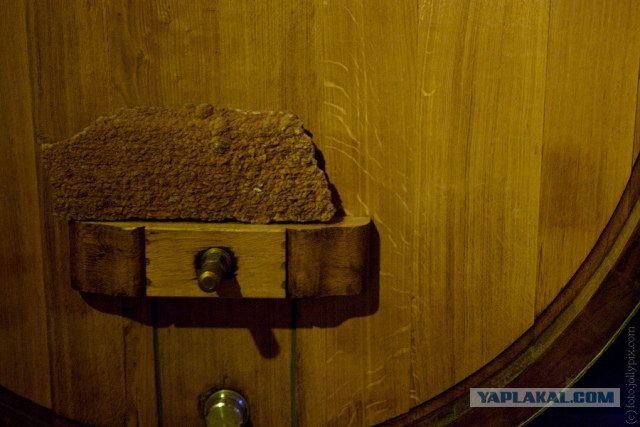 Шампанское. От винограда до пены