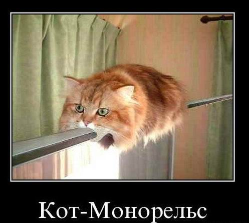 Немного смешных картинок из сети