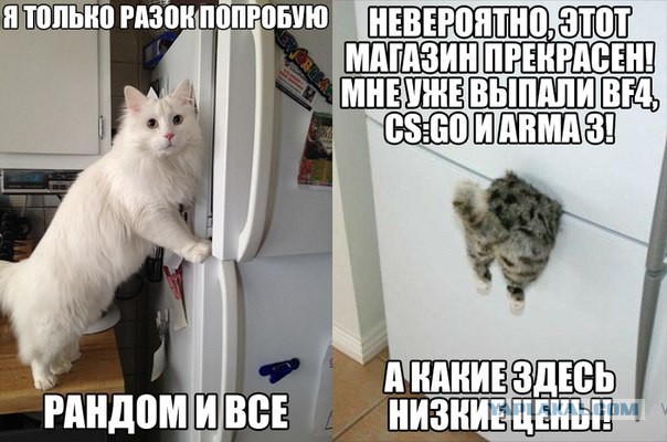 Подборка весёлых картинок