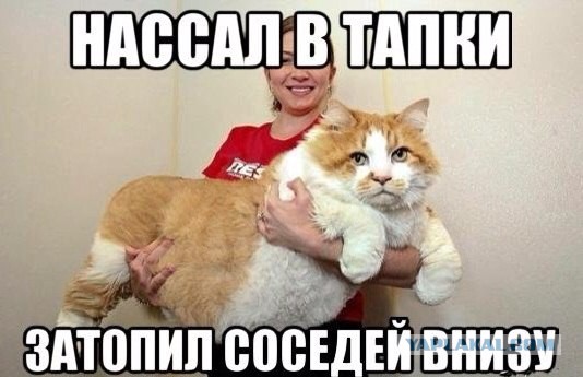 А вот и новые картинки!