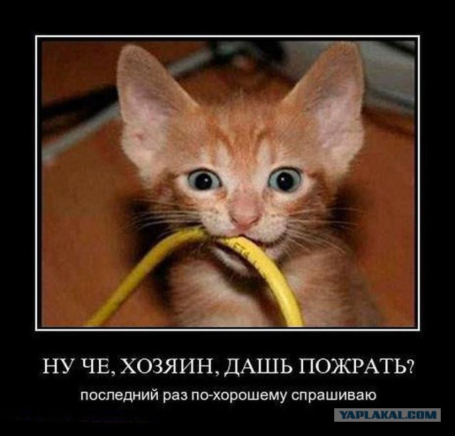 Демотиваторов пост, добавляйте свои
