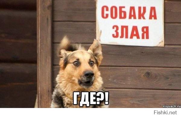 Смешные картинки