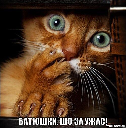 Нас не напугаешь