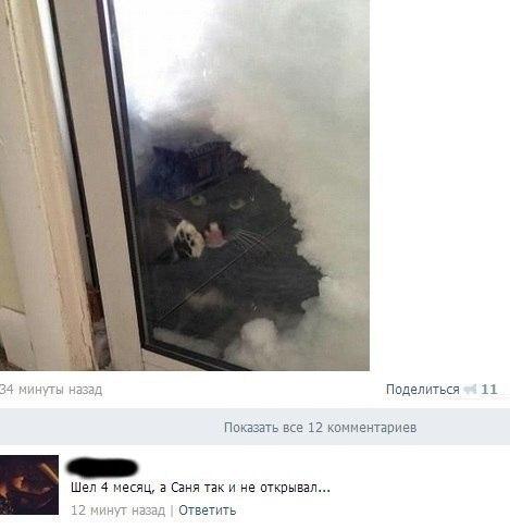 Смешные комментарии из социальных сетей