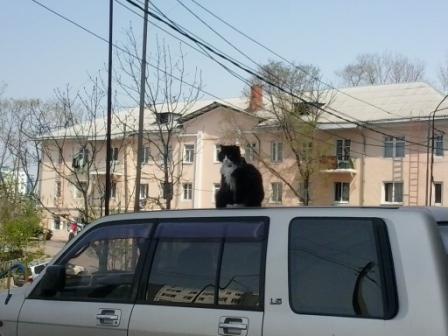 Владивосток!