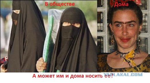 Аль-Джазира как она есть! :)