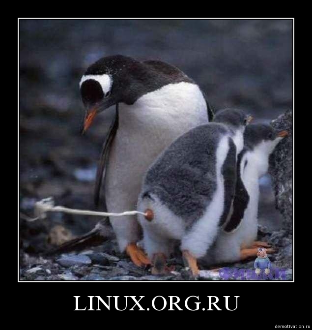 Настоящие мужчины сидят под Windows