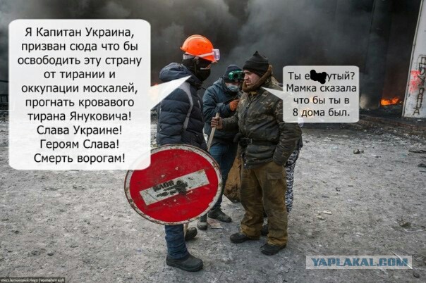 Солянка политическая #8