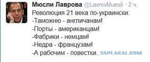 Айдаровцы устроили ночь террора