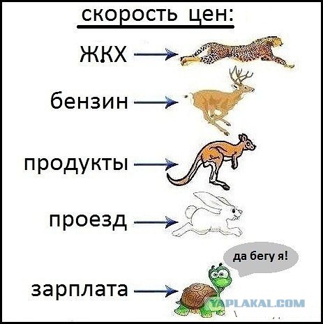 Цены в российских магазинах вырастут на 10%