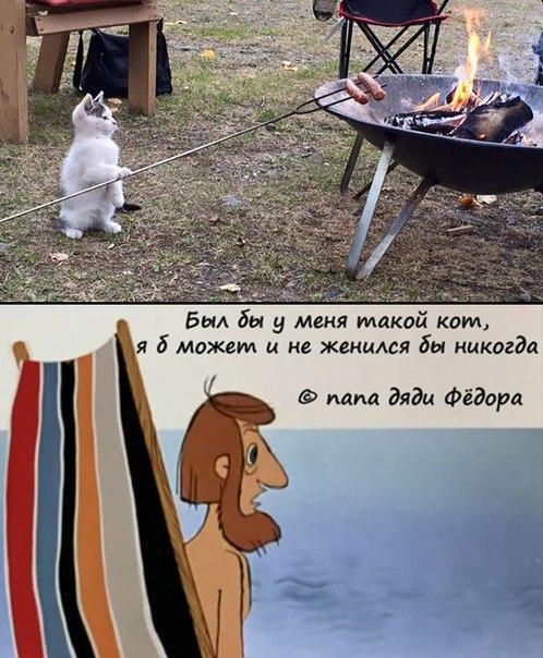 Забавные картинки из Сети
