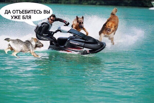 Картинки на пятницу