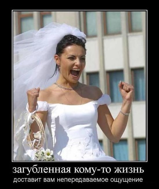 Демы без Темы