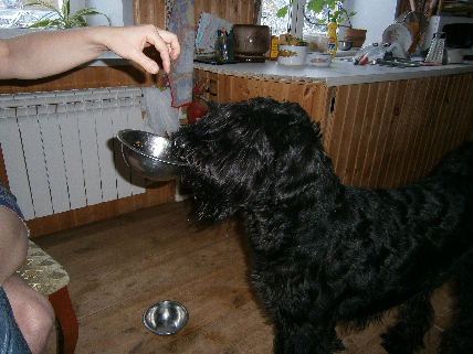 Мохнатые беспредельщики