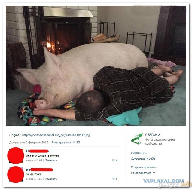 Смешные комментарии из социальных сетей 20.05.2016