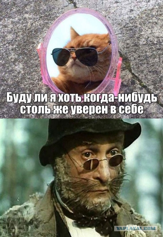 Подборка интересных и смешных картинок