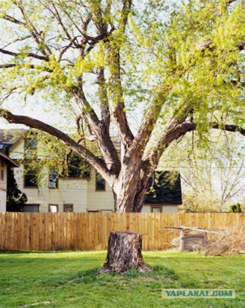 Картинки и приколы из сети