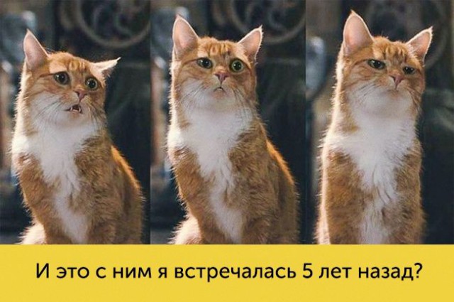 Расстаться друзьями?