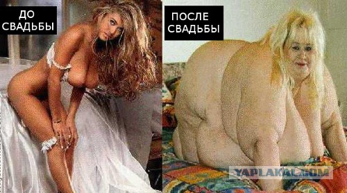 Мужик взял себе щенка, но оказалось, что это вовсе не собака