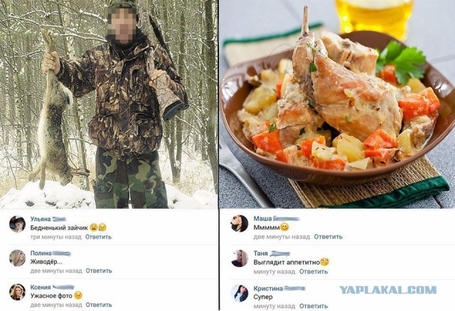 Охота с продолжением