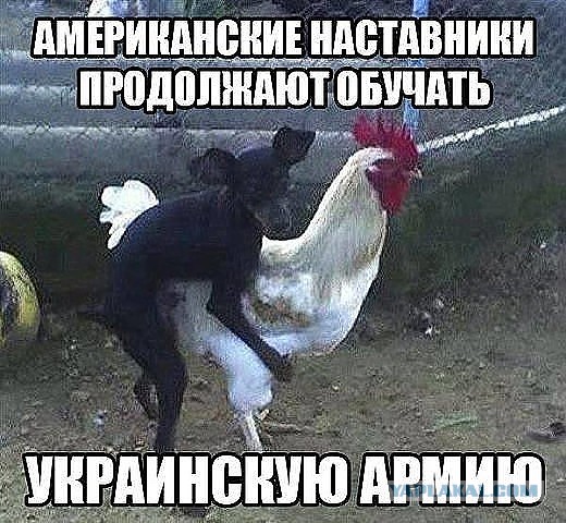 Япония предоставила $1,85 млрд помощи украинской армии.