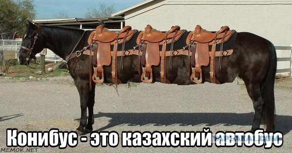 Как выглядит полиция Казахстана после отмены жезлов