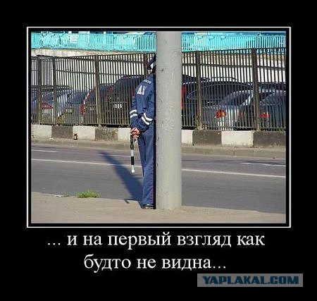 Немного картинок и демотиваторов