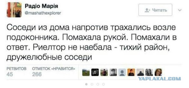 Прикольные картинки 17.06.2017.