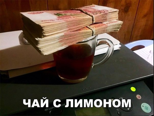 Сын генпрокурора Чайки - владелец мусорного полигона в Ядрово под Волоколамском