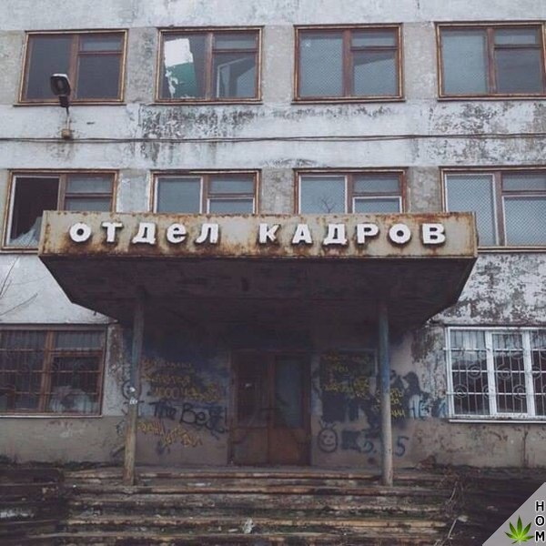 Да что тут вообще происходит?