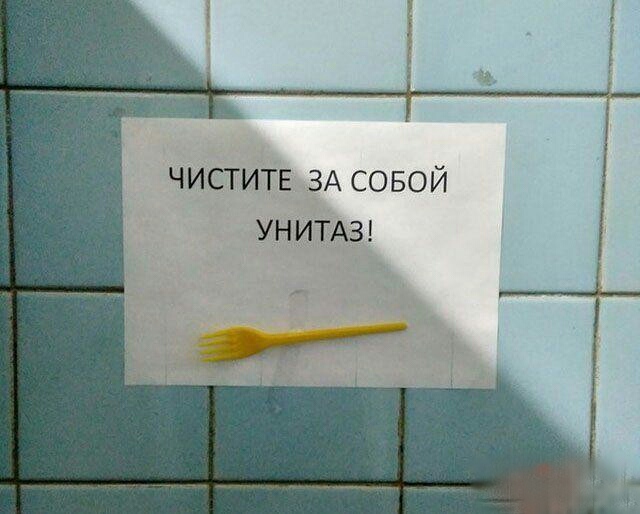 Прикольные картинки