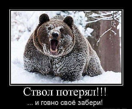 Если на вас напал медведь
