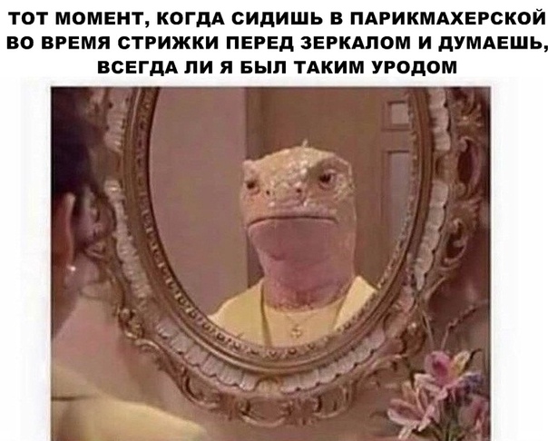 Картинки и мемы для настроения 25