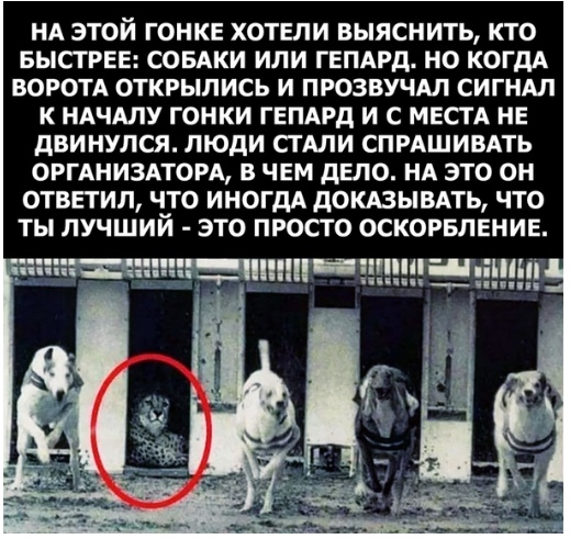 Немного картинок для настроения 18.01.20
