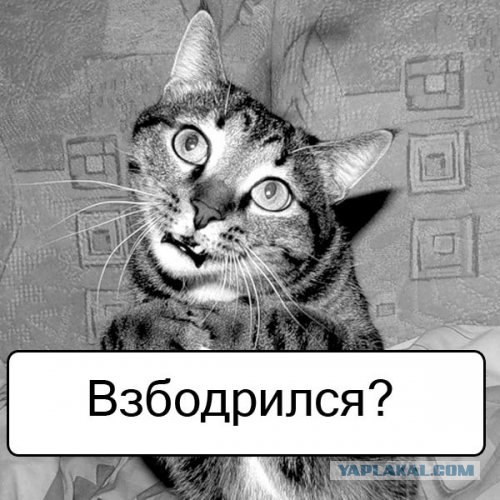 Спорим, зевнешь?))) (28 фото)