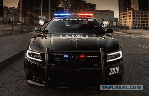 Интерцепторы: прошлое и настоящее полицейских автомобилей США