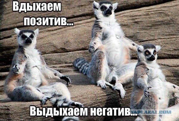 Бредзона 05.04.20
