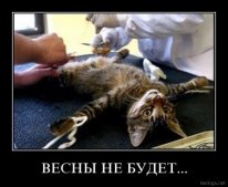 Картинки 13.04.2020