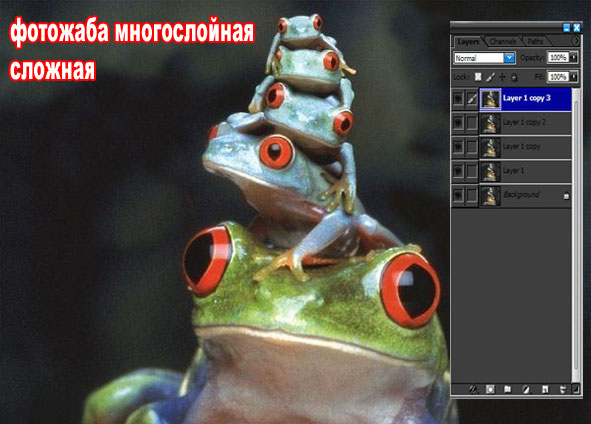 Жабы на ЯПлакалъ