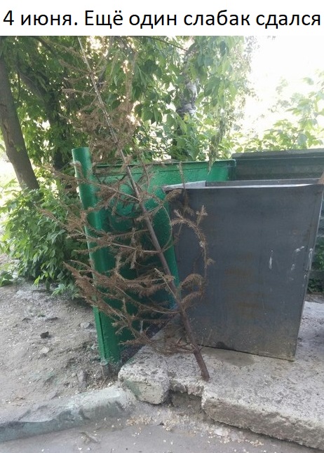 Чуток картинок 06.06.20