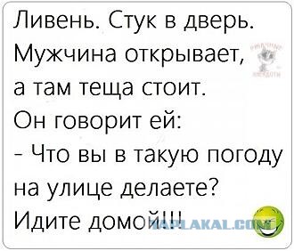 Немного мемов