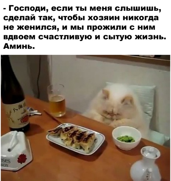 Бредзона