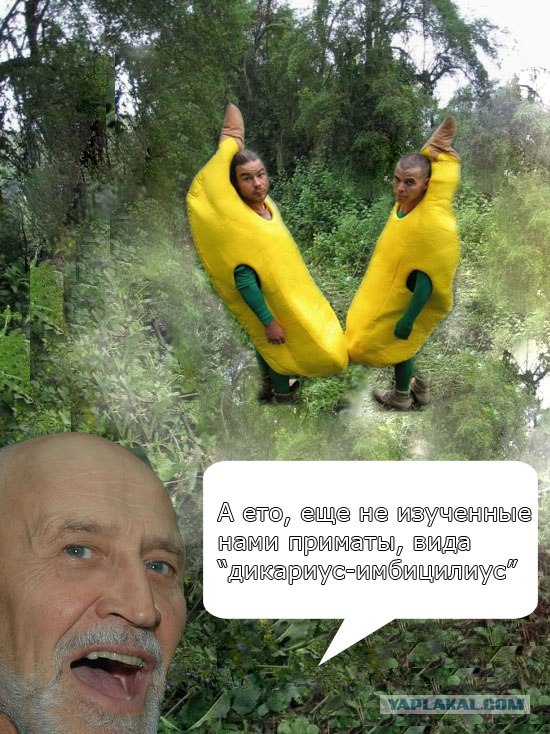 Друзья обезьян