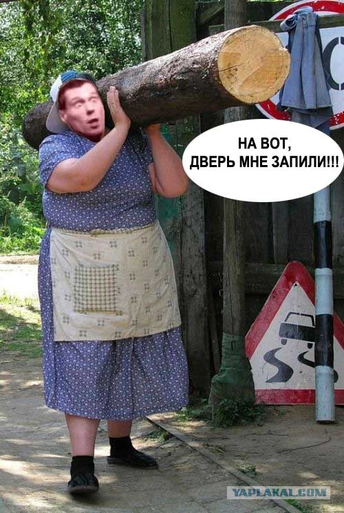 фотожаба: с бревном