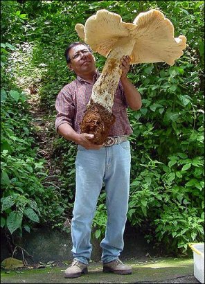 Картинки разные